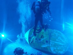 20230303 Nemo 33